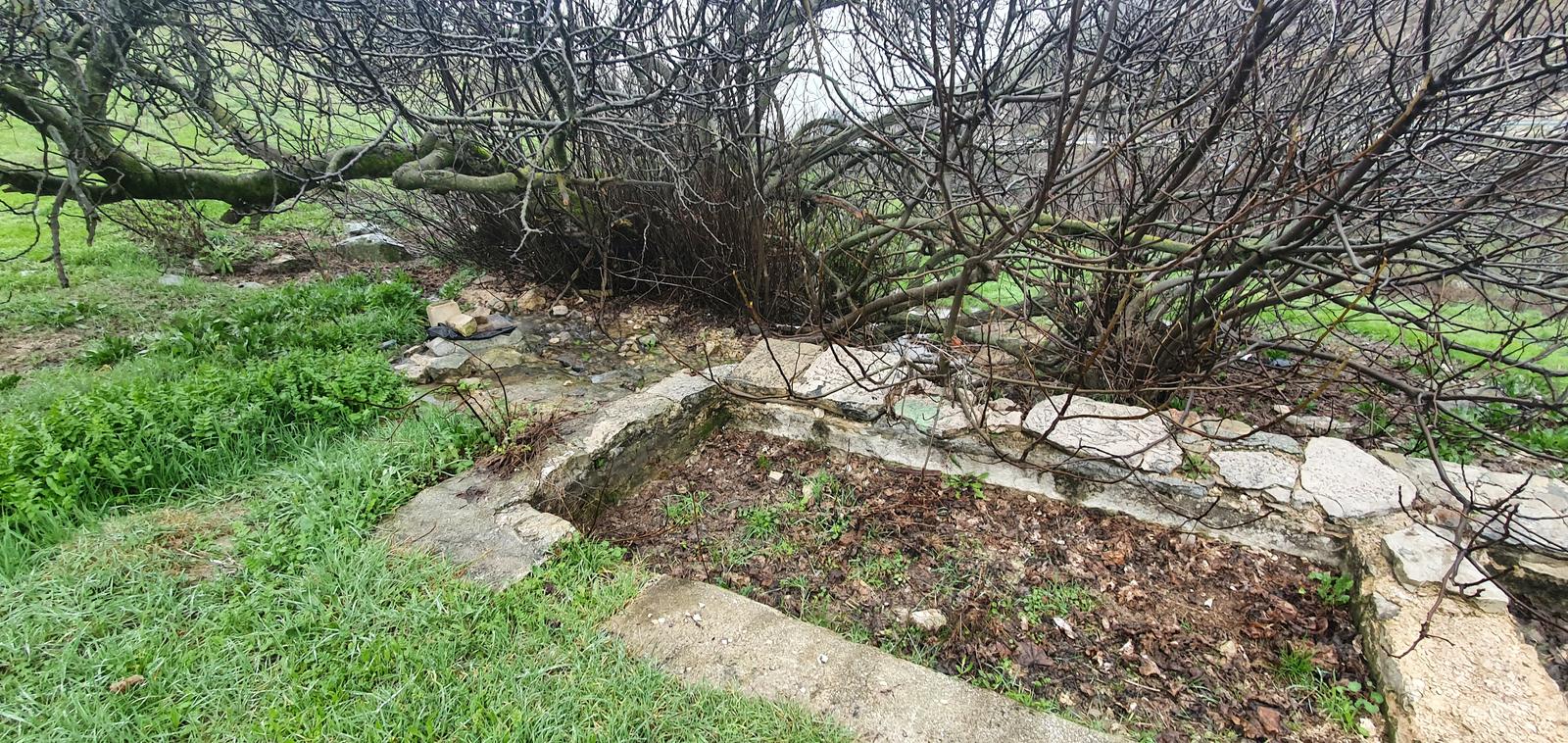Los caminos del agua