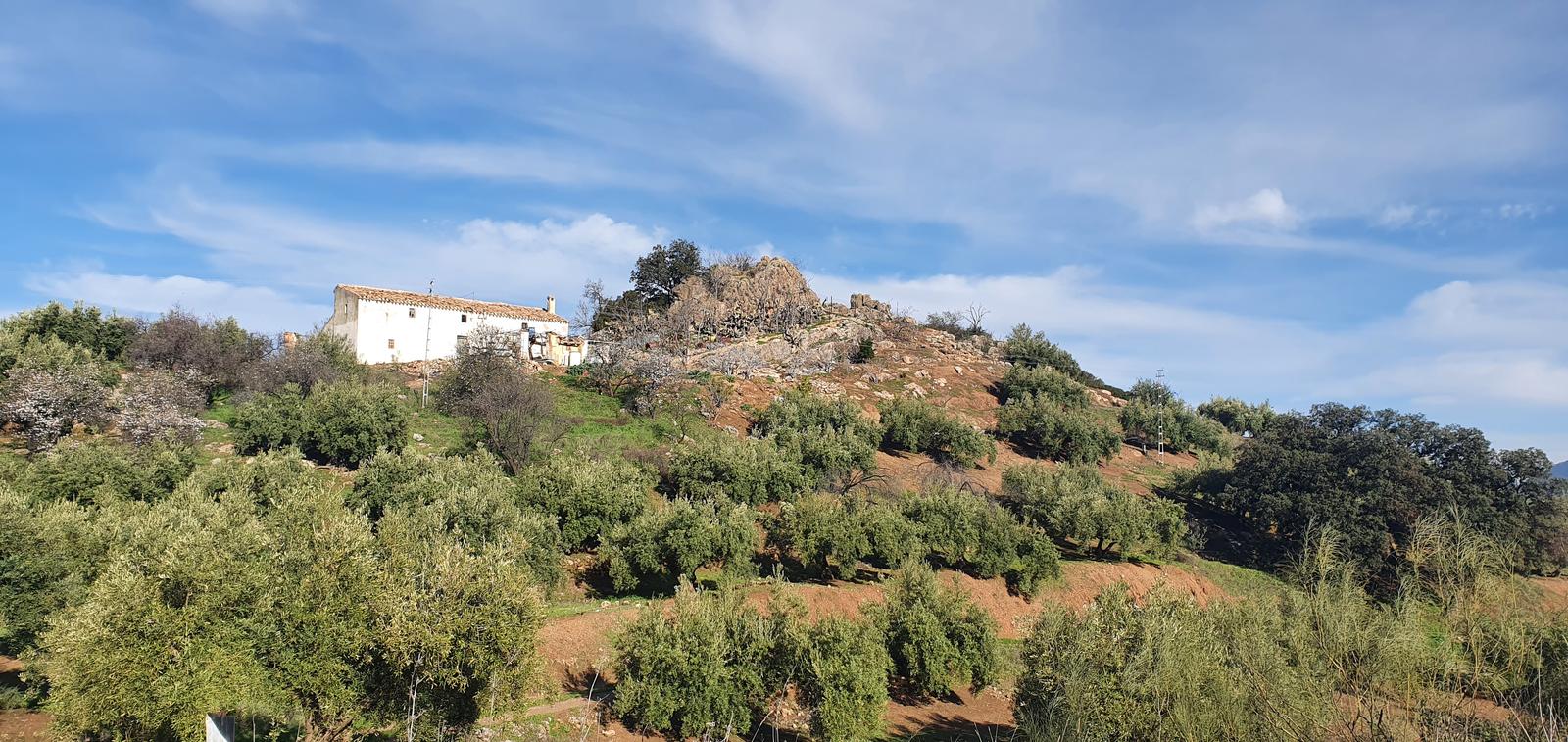 Piedras cobo- Minas – Alamillo