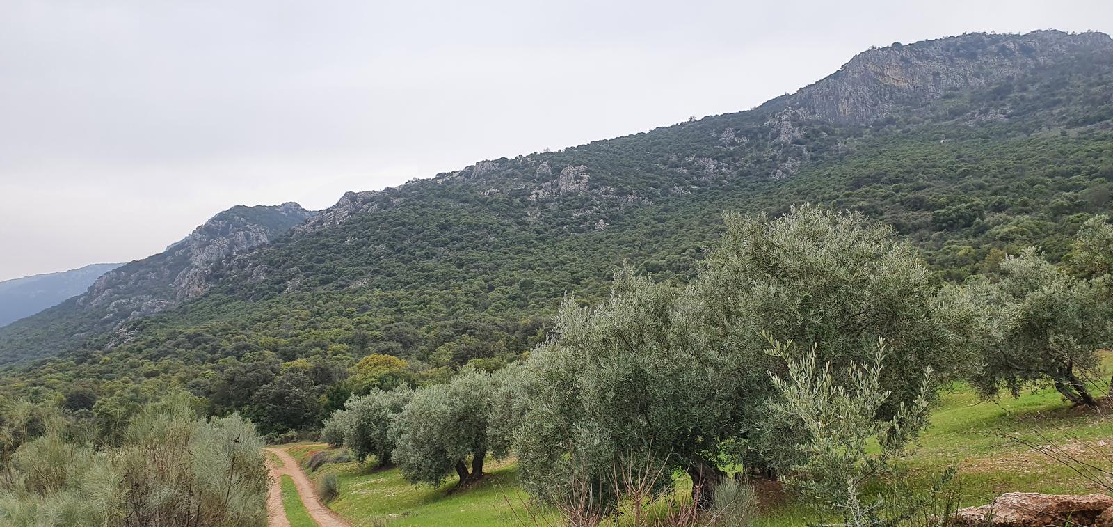 Desde la venta de pantalones – Las Casillas