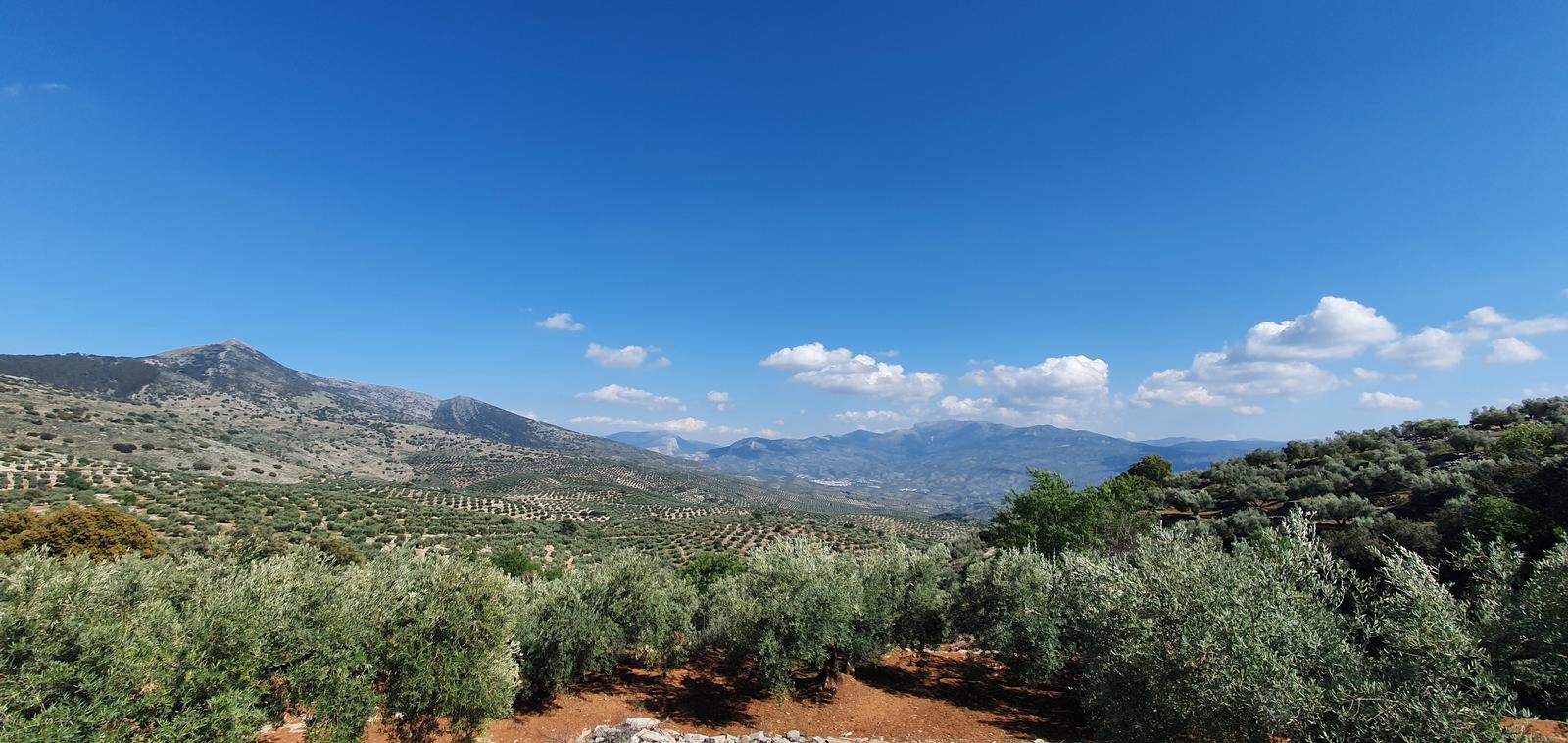 Martos – El Coto – Cerro Viento