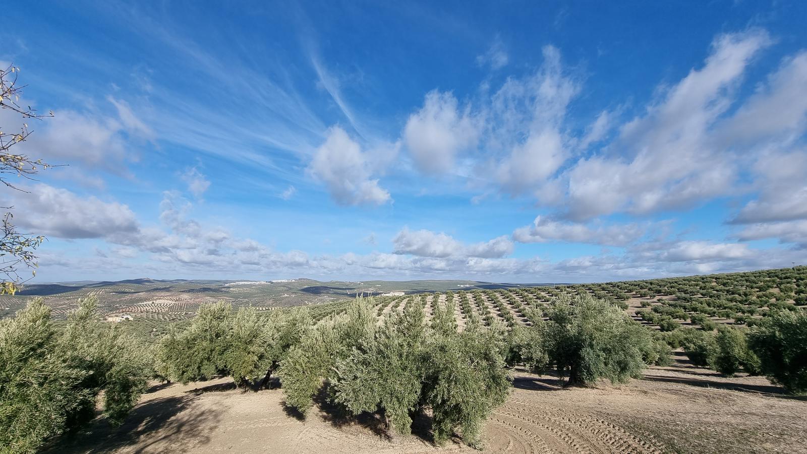 Vía Verde-Alcaudete-Villarbajo