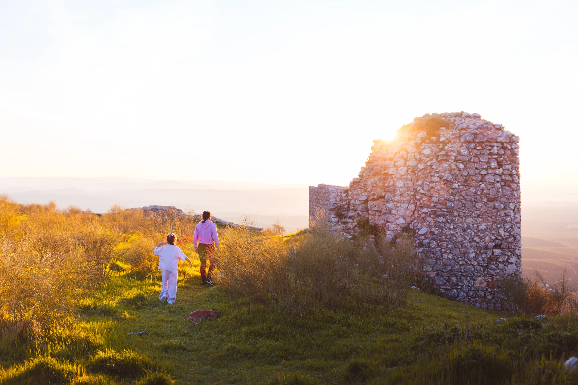 Fortaleza Alta o Castillo de La Peña